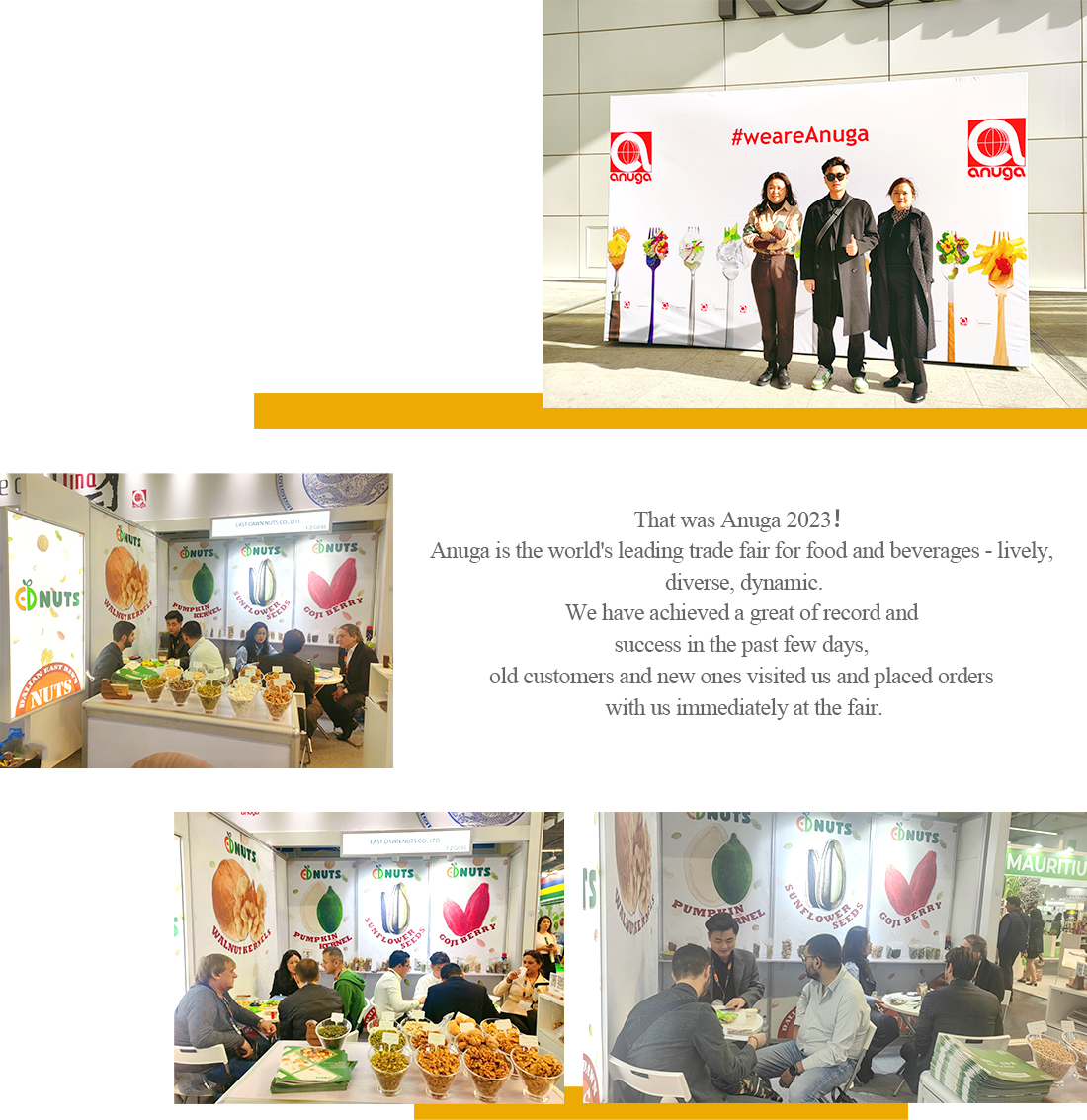 2023 德国展会 英.jpg